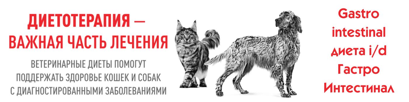 Гастро Диета